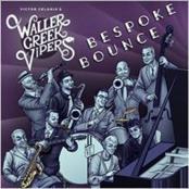 Waller Creek Vipers - Bespoke Bounce