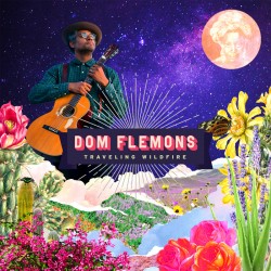 Dom Flemons - Tough Luck