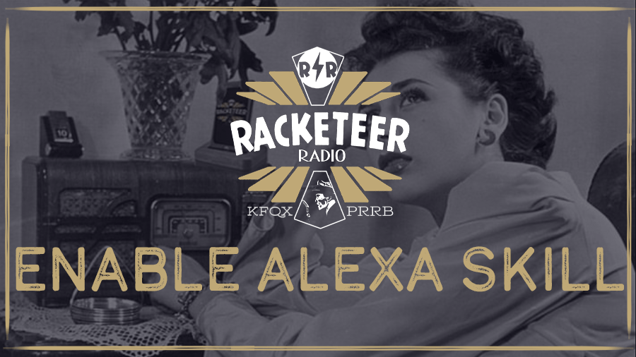 enable alexa skill